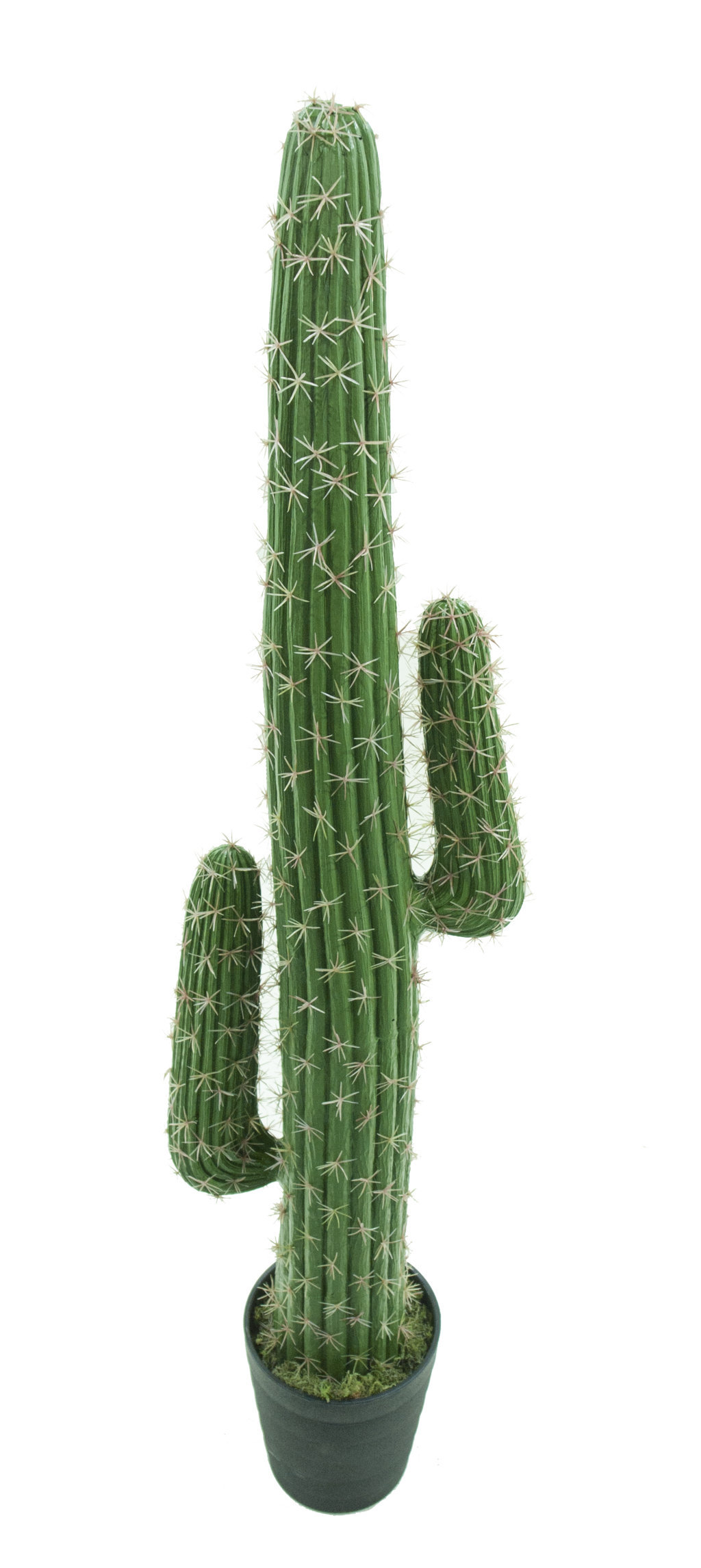 4000940.jpg Cactus Mexican 3 tallos con maceta-140cm. - Imagen 1