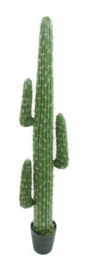 Cactus Mexican 4 tallos con maceta-172 cm.
