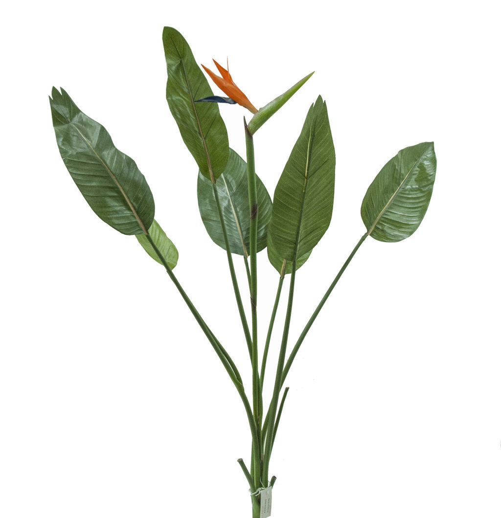 4001100 Ave del paraiso con 1 flor+7hojas - 116cm. - Imagen 1