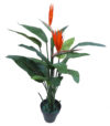 Ave del paraiso con 2 flores+14hojas - 116cm.C/M