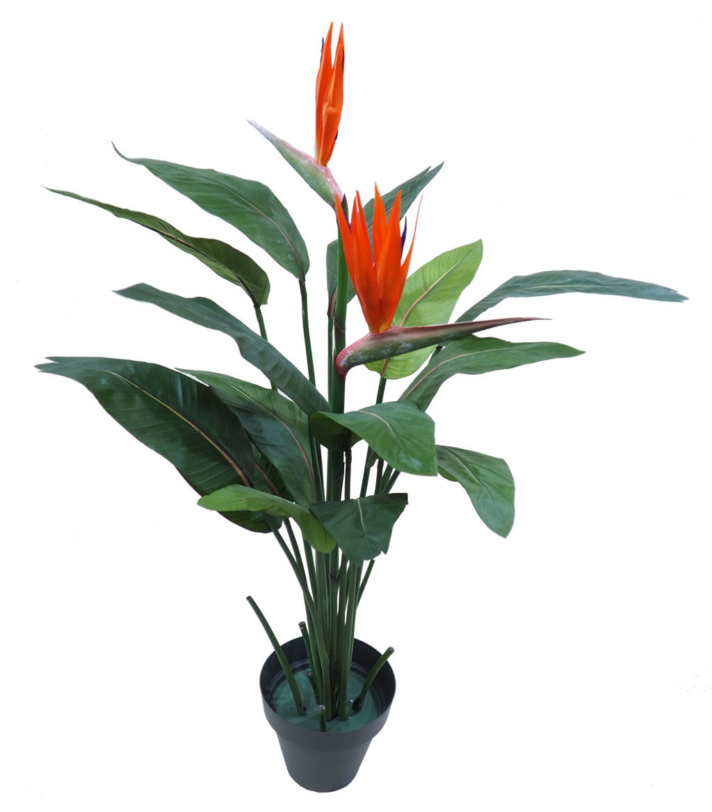 4001100B.jpg Ave del paraiso con 2 flores+14hojas - 116cm.C/M - Imagen 1