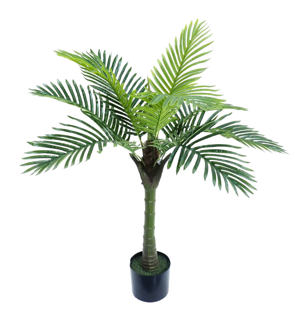 4001150.jpg Areca Oriental Ø70 con maceta - 90cm. - Imagen 1