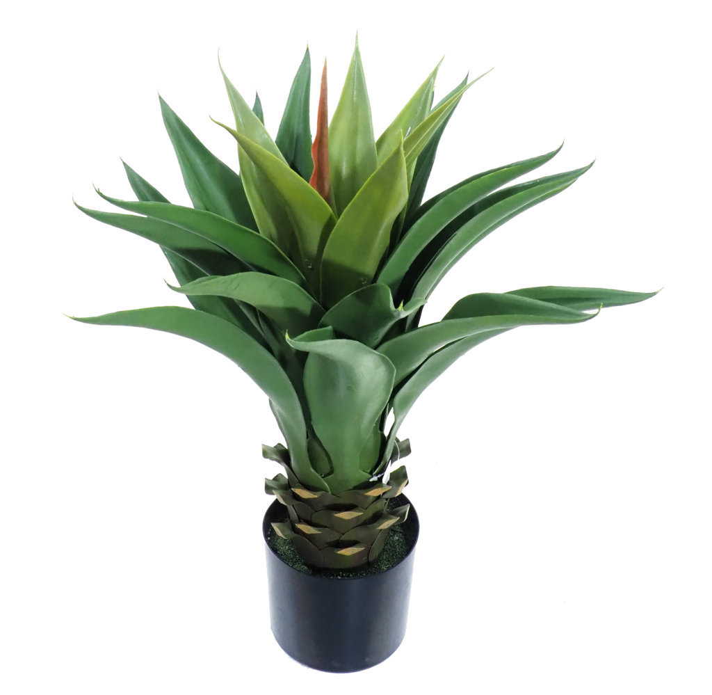 4001160.jpg Agave Verde con maceta - Ø55x60cm. - Imagen 1
