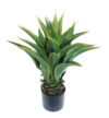 Agave Amarillo/Verde con maceta - Ø55x60cm. - Imagen 2