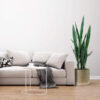 Sansevieria Verde con maceta - 100cm.