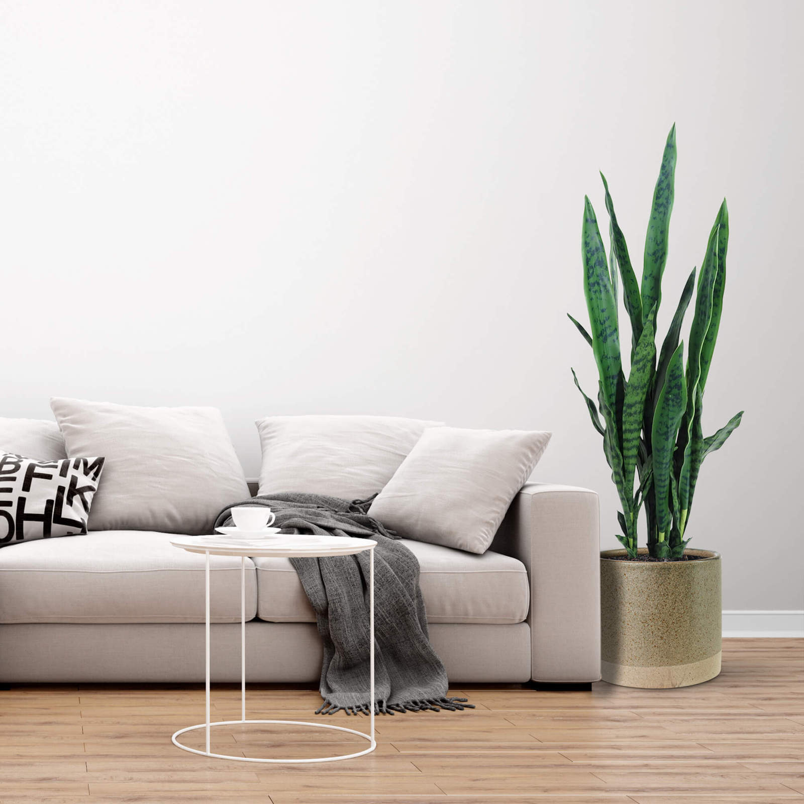 4001171.jpg Sansevieria Verde con maceta - 100cm. - Imagen 1