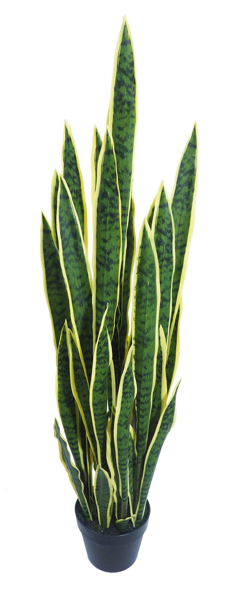 4001182.jpg Sansevieria Variegata con maceta - 125cm. - Imagen 1