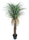 Yuca Revoltosa Plastico con maceta - 140cm.