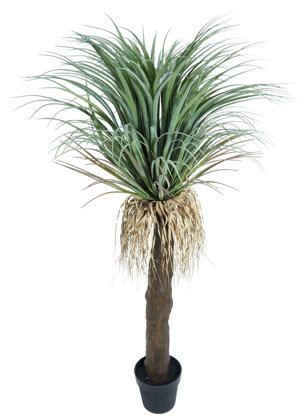 4001202.jpg Yuca Revoltosa Plastico con maceta - 140cm. - Imagen 1
