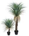 Yuca Revoltosa Plastico con maceta - 140cm. - Imagen 2