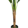 Bananero 1 tronco 9 hojas con maceta- 120cm. - Imagen 3