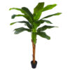 Bananero 1 tronco 16 hojas con maceta- 200 cm.