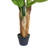 Bananero 3 troncos 21 hojas con maceta- 150 cm. - Imagen 3