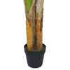 Bananero 3 troncos 27 hojas con maceta- 200 cm. - Imagen 3