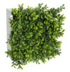 Concobox mini Boj verde base blanca - 20x20cm