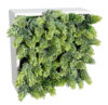 Concobox Cactus Piña/Lupulo base blanca - 20x20x10