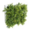 Concobox Springeri verde base blanca - 20x20x12cm