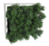 Concobox Pino Picea base blanca - 20x20x14cm
