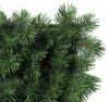 Concobox Pino Picea base blanca - 20x20x14cm - Imagen 2
