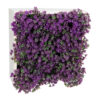 Concobox Verbena Lila base blanca - 20x20x10cm
