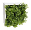 Concobox Tuya plana base blanca - 20x20x11cm