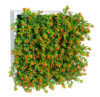 Concobox Nertera naranja base blanca - 20x20x11cm