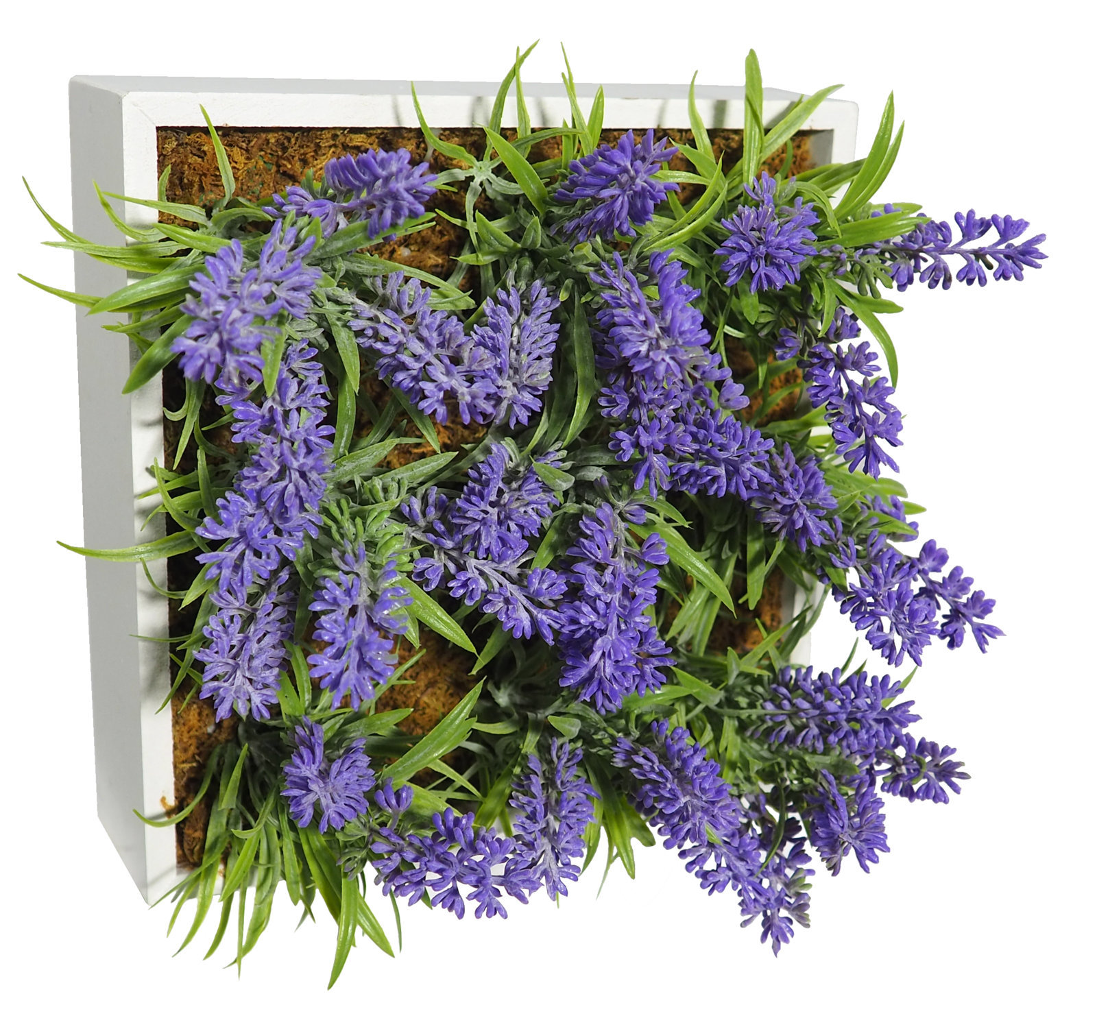4709742.jpg Concobox Lavanda base blanca - 20x20x16cm - Imagen 1