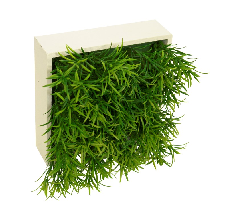 4709752.jpg Concobox Romero verde base blanca - 20x20x14cm - Imagen 1