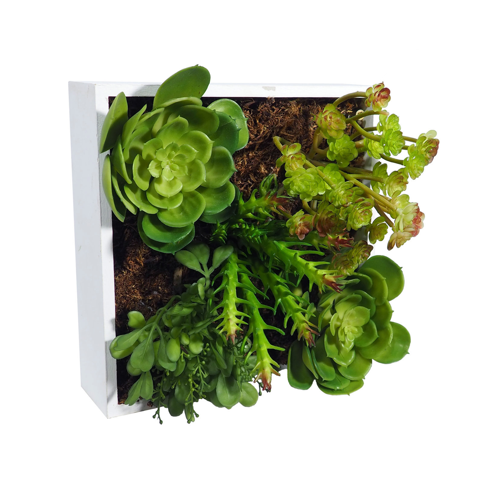 4709842 Concobox Crasas Patry Base Blanca - 20x20x17cm - Imagen 1