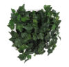 Concobox Hiedra Verde base blanca - 20x20x15cm