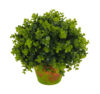 1/2 Bola Eucaliptus Con Maceta Terracota -Ø30x30cm