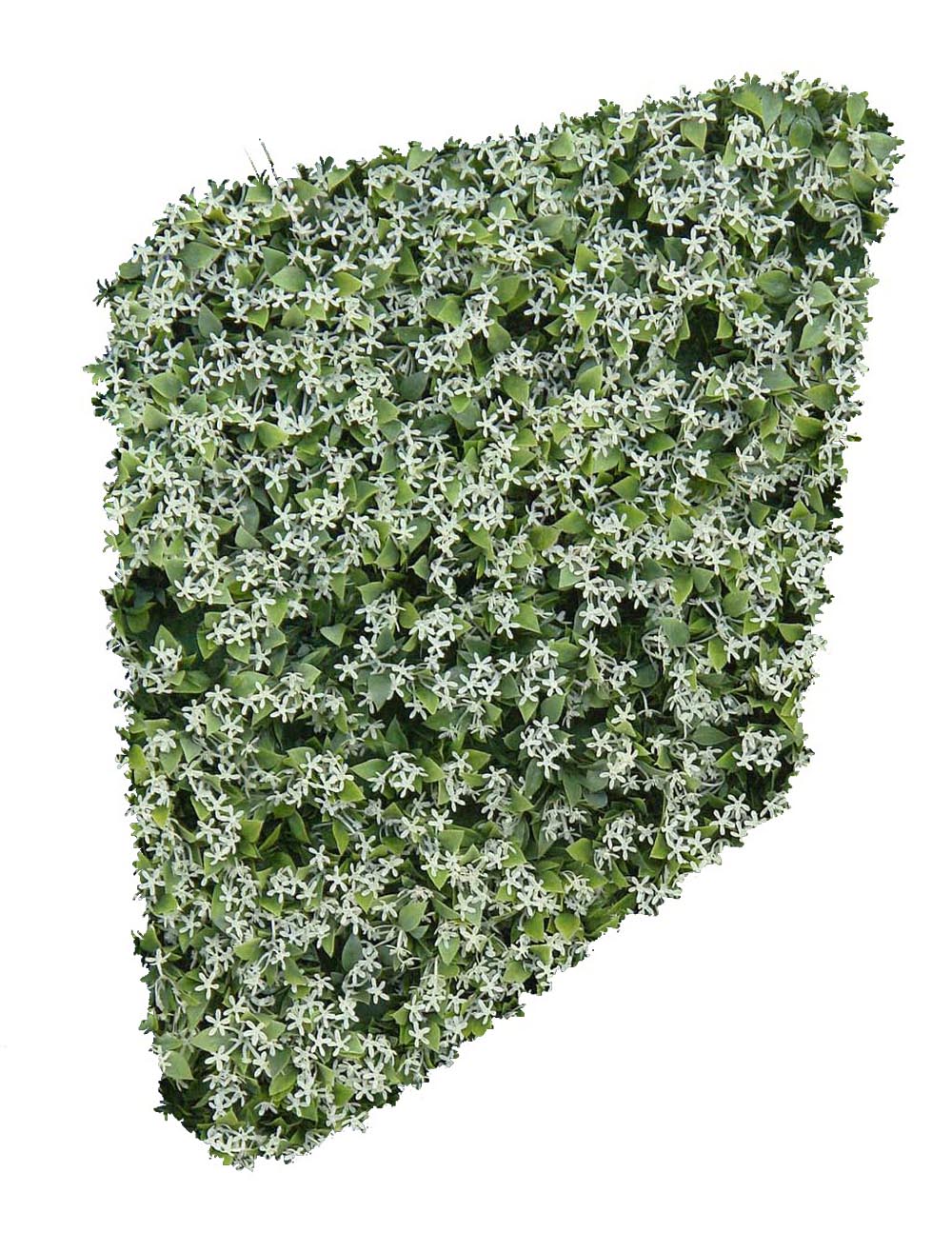 4711680.jpg Seto de flor silvestre blanca horizontal - 115cm - Imagen 1