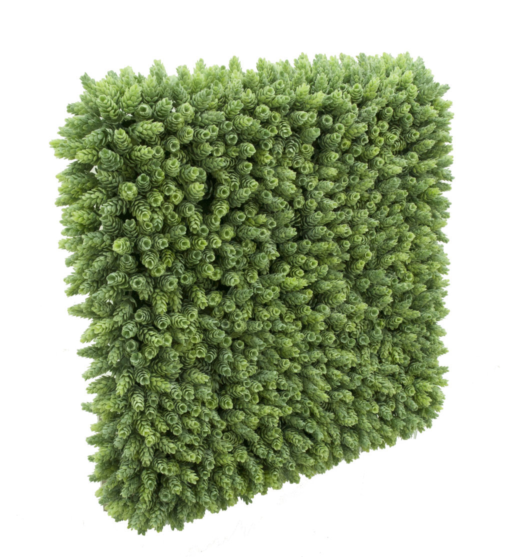 4711950A.jpg Mural de cactus piña / Lupulo - 65x65x12cm - Imagen 1