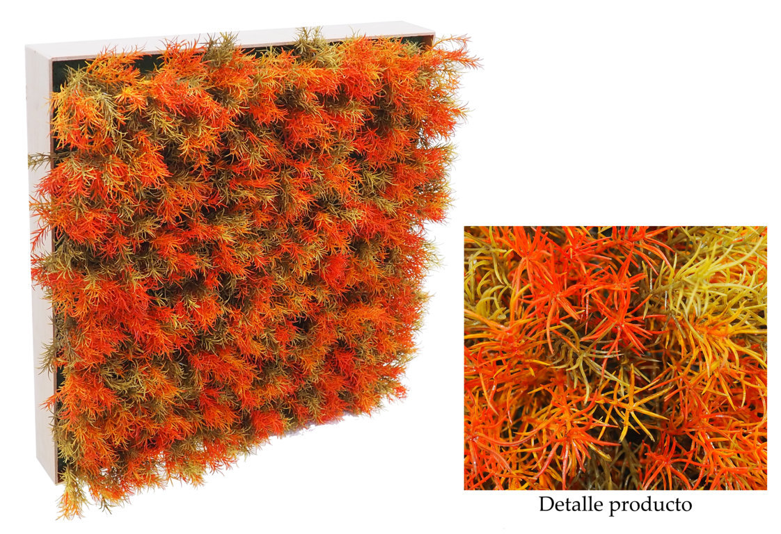 4712350.jpg Loseta Blanca Springeri Naranja - 50x50x12cm - Imagen 1