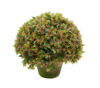 1/2 Bola Flor Silv.Nrja Maceta Terracota- Ø30x30cm