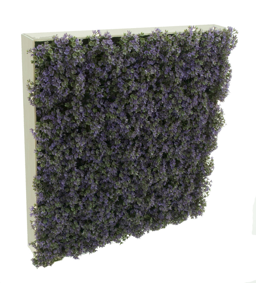 4713050.jpg Loseta Blanca Verbena Lila - 50x50x12cm - Imagen 1