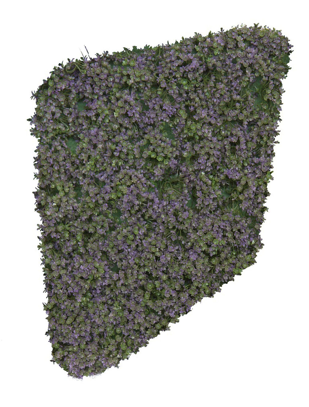 4713080.jpg Seto de verbena lila horizontal - 115cm - Imagen 1