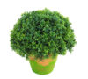 1/2 Bola Te Verde Con Maceta Terracota - Ø30x30cm.