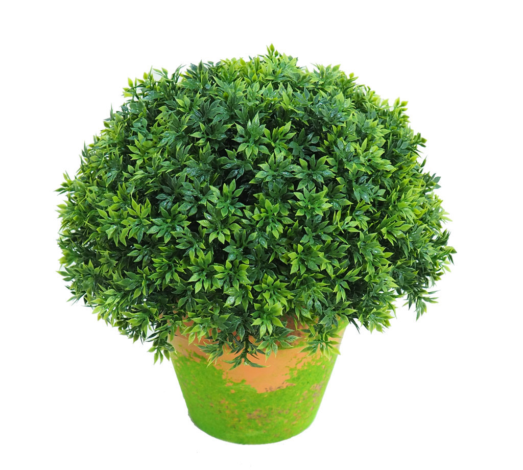 4713212.jpg 1/2 Bola Te Verde Con Maceta Terracota - Ø30x30cm. - Imagen 1