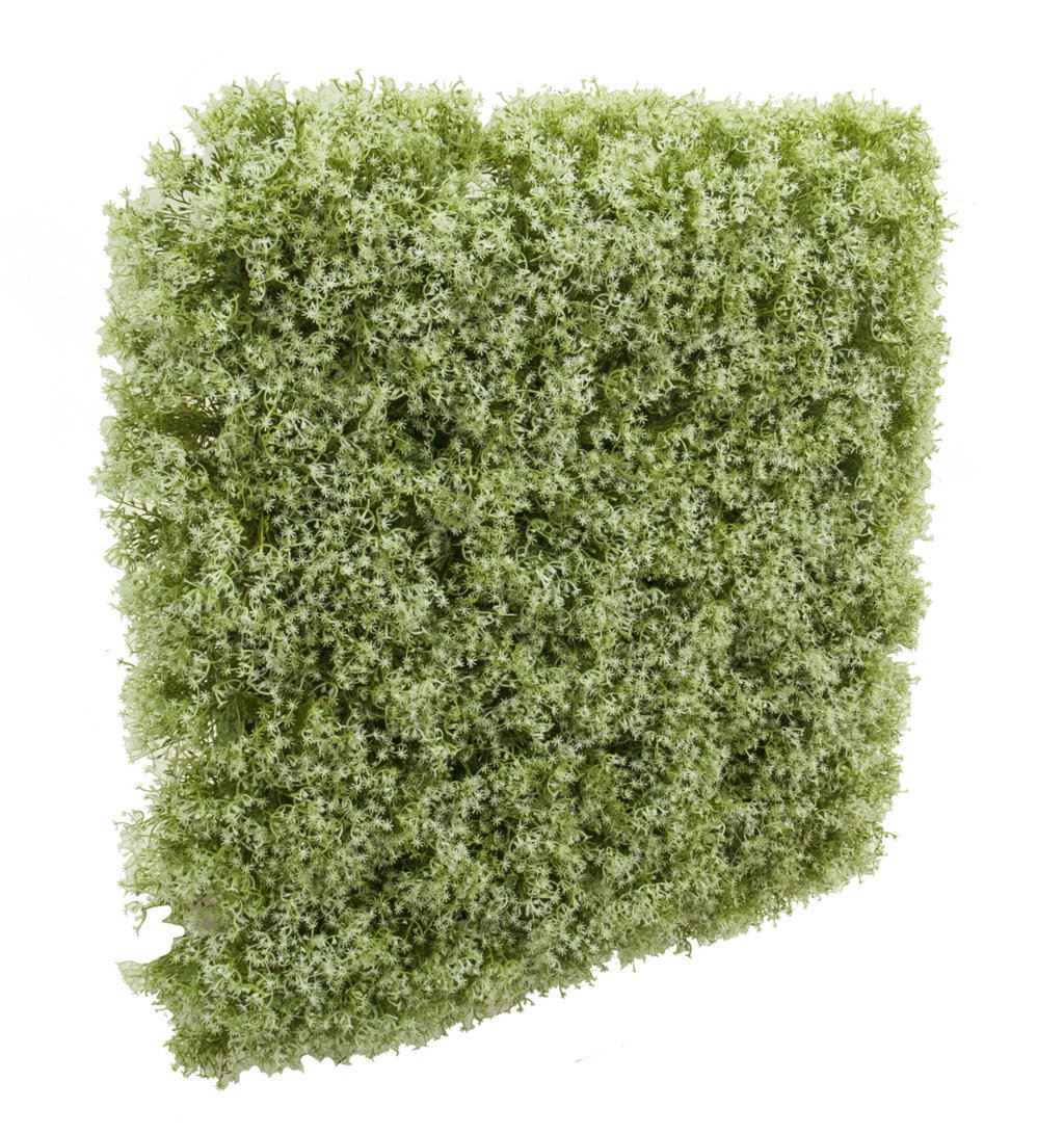 4714050A.jpg Mural de gipsofila crema - 65x65x12cm - Imagen 1
