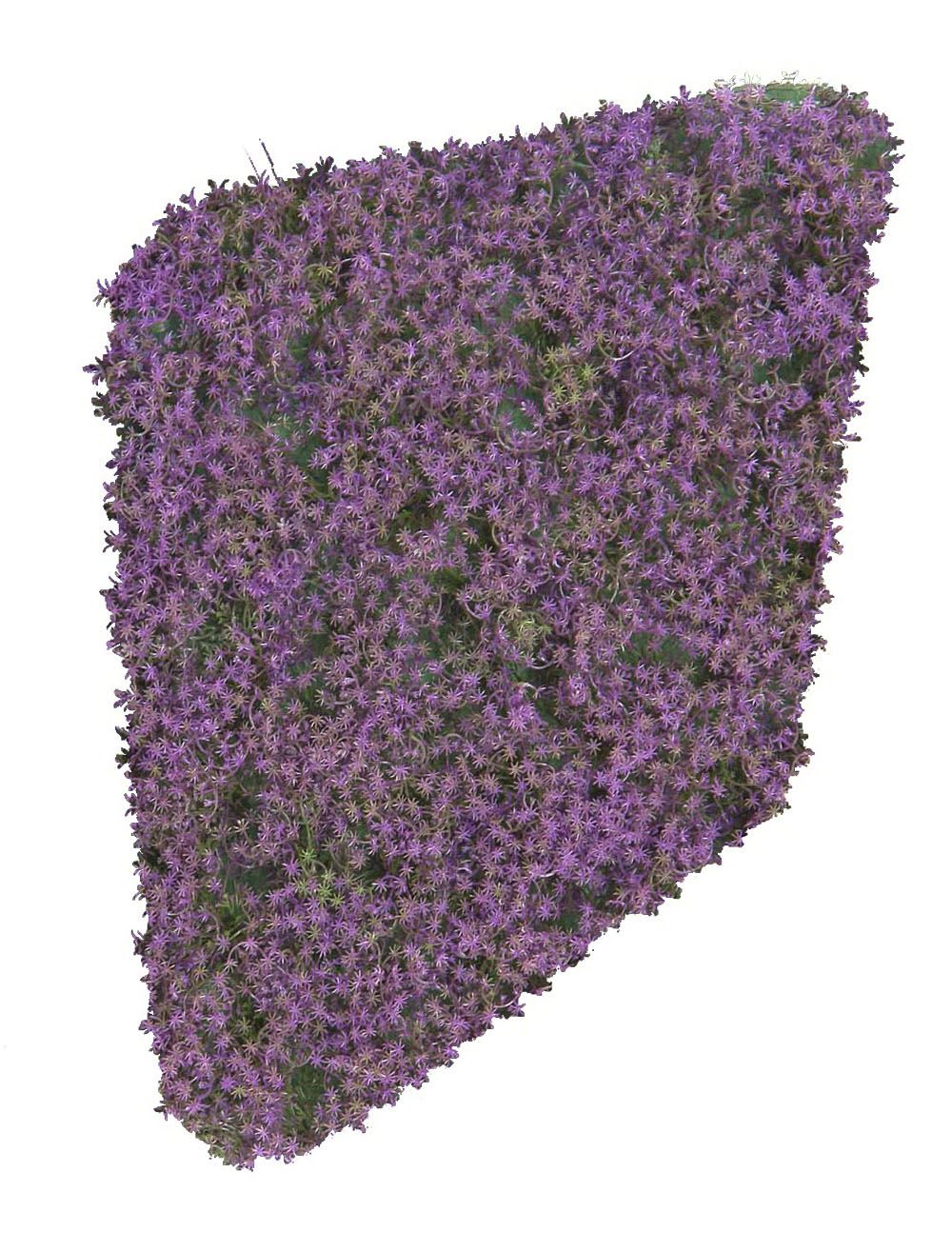 4714280.jpg Seto de gipsofila morada horizontal - 115cm - Imagen 1