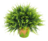 1/2 Bola Cipres Verde Maceta Terracota - Ø35x35cm