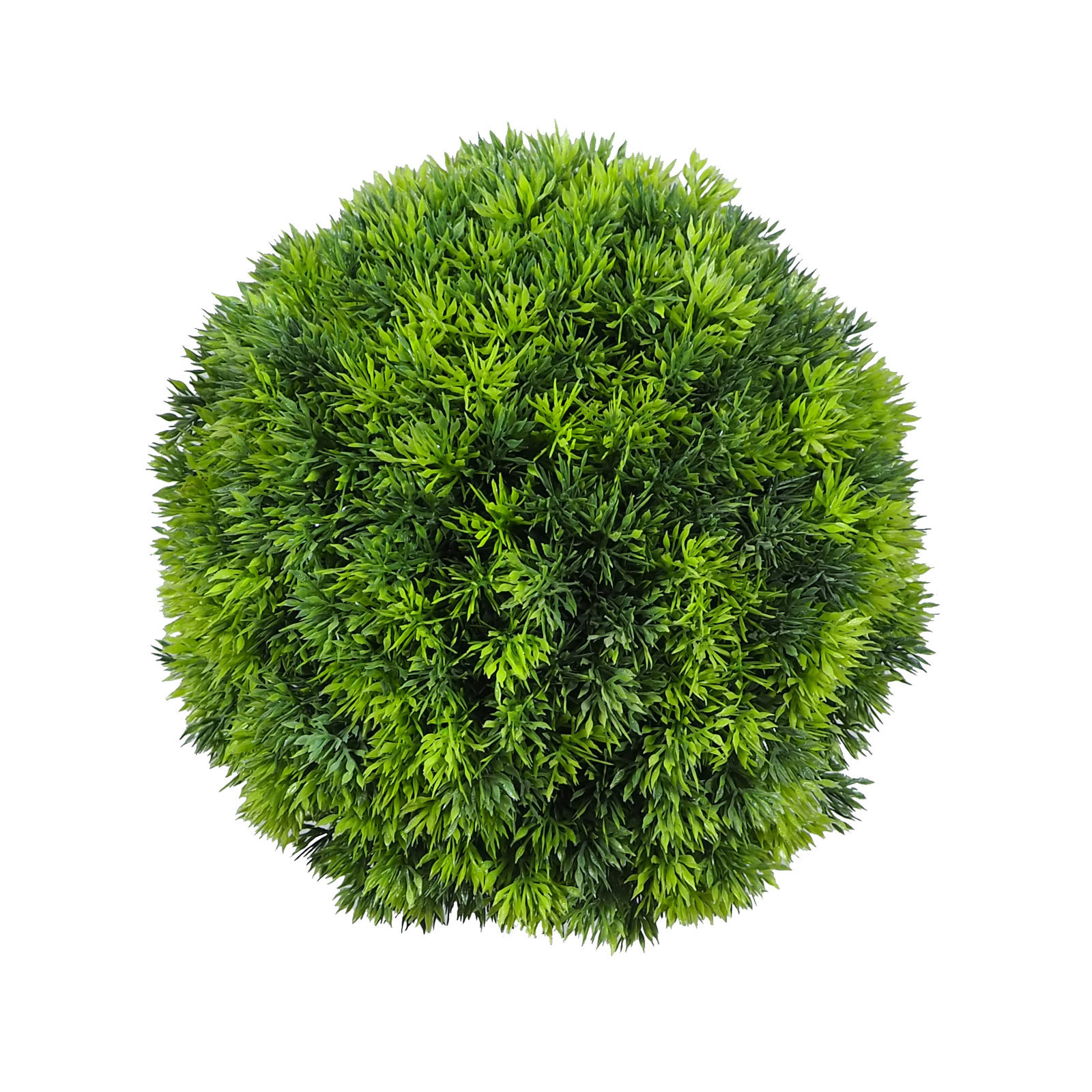 4720220.jpg Bola de Pino - Imagen 1