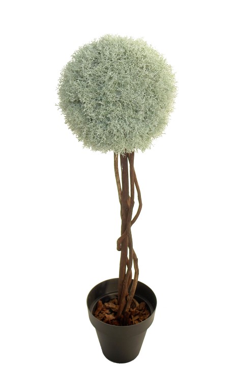 4721105.jpg Árbol Alga Crema 1 bola - Imagen 1