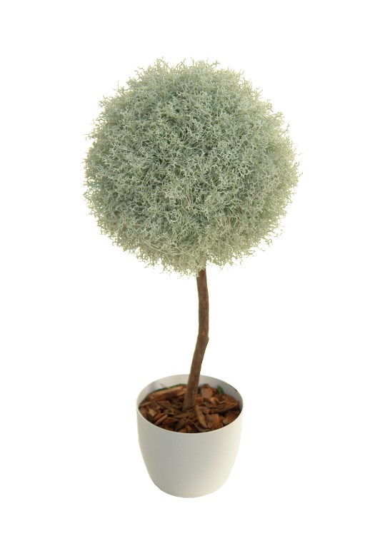 4721110.jpg Árbol Alga crema 1 bola - Imagen 1