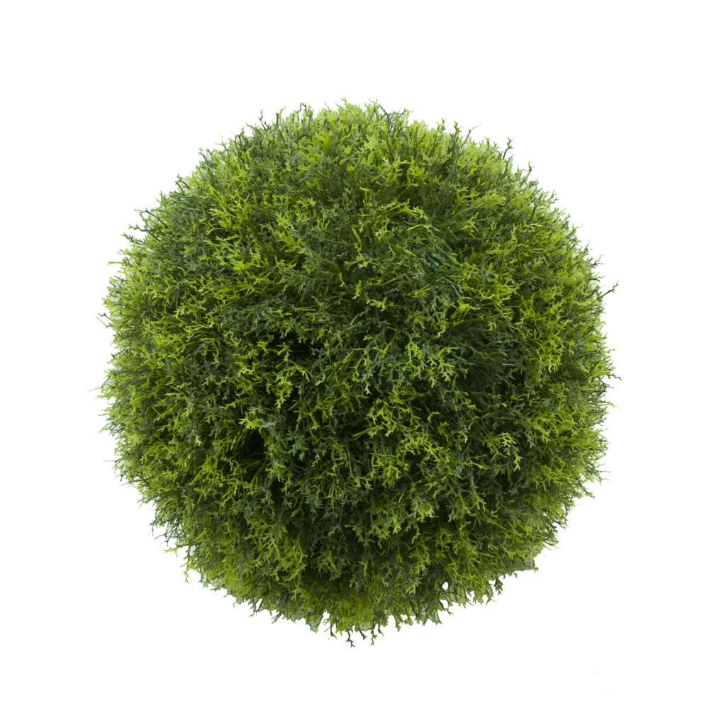 4721420.jpg Bola de Alga Verde - Imagen 1