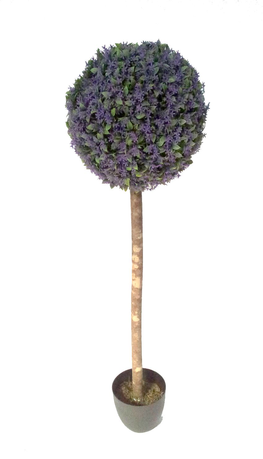 4721702.jpg Arbol flor silvestre L. 1 bola tronco recto - Imagen 1