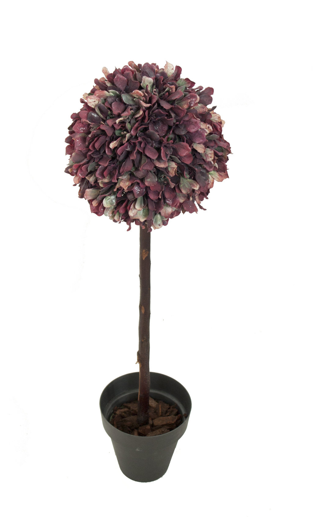 4721802.jpg Árbol Lechuga roja 1 bola - Imagen 1