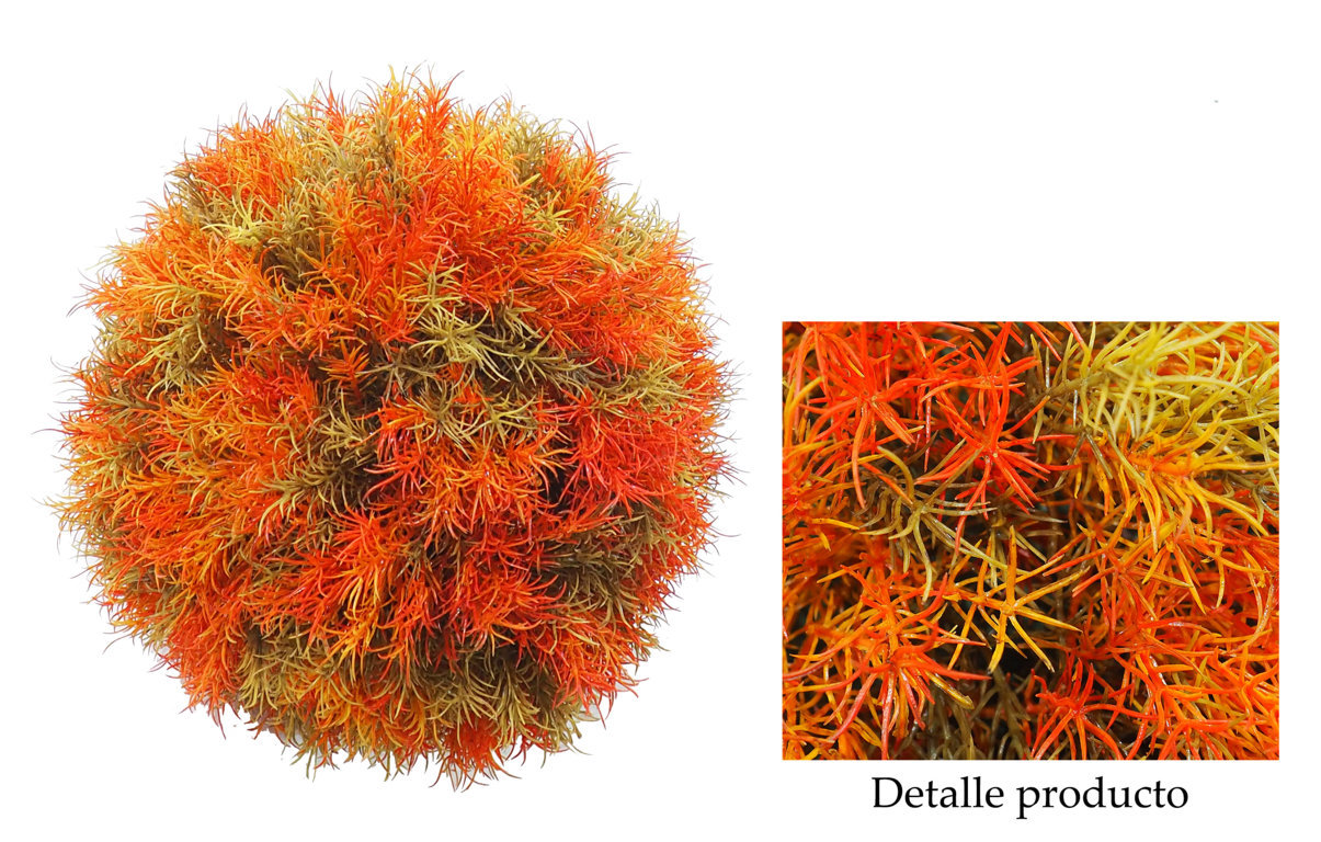 4722320.jpg Bola de Springeri Naranja Otoñal - Imagen 1
