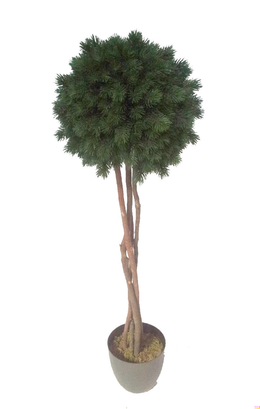 4722605.jpg Árbol Pino Picea 1 bola - Imagen 1